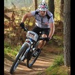 Mountain to Road Cycles