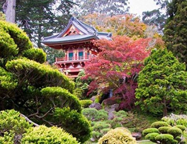 Spectacular Japanese Garden