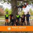 Marc Doyle Treework